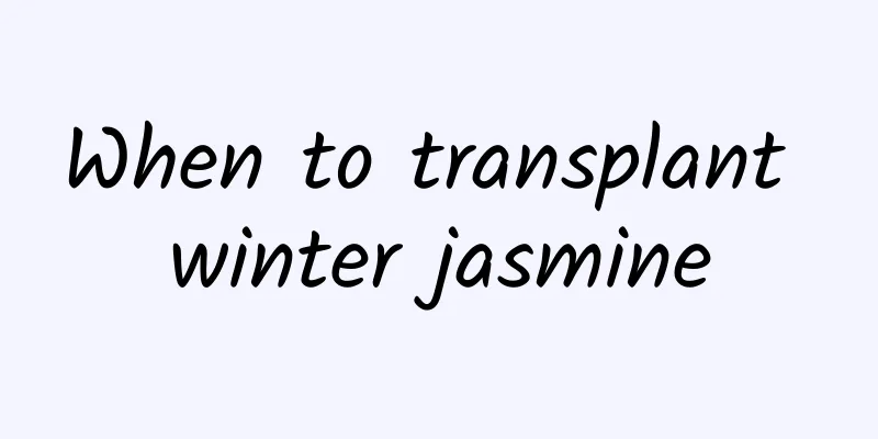 When to transplant winter jasmine