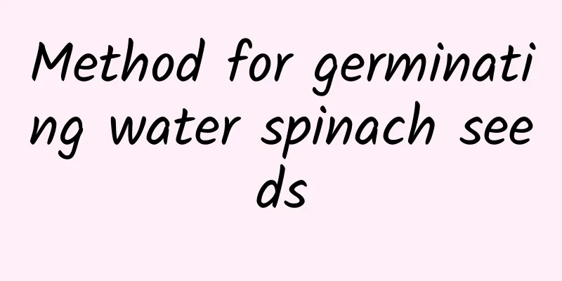 Method for germinating water spinach seeds
