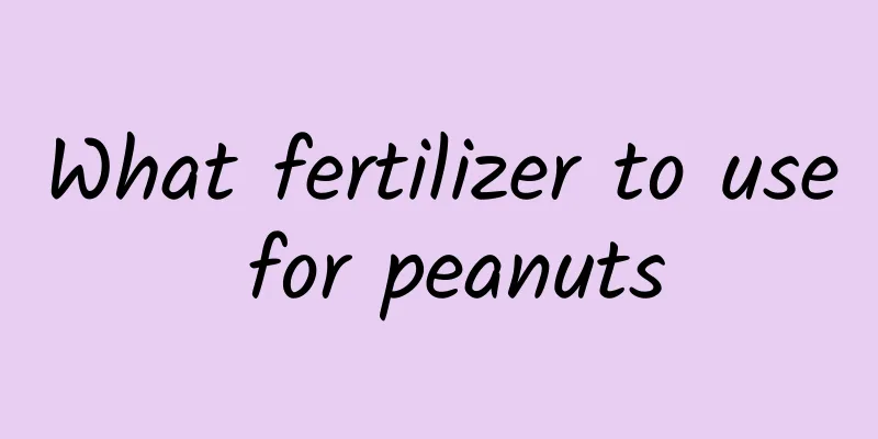 What fertilizer to use for peanuts