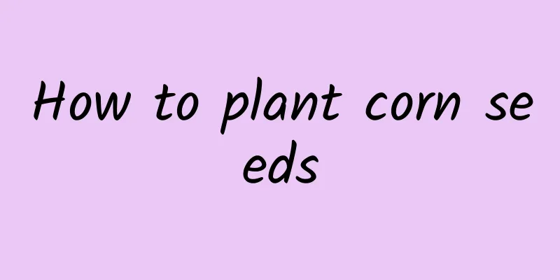 How to plant corn seeds