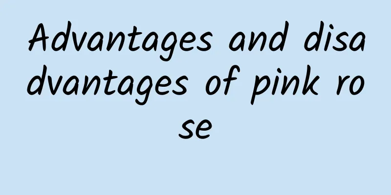 Advantages and disadvantages of pink rose