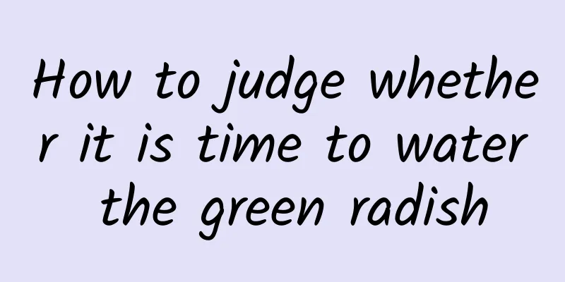 How to judge whether it is time to water the green radish