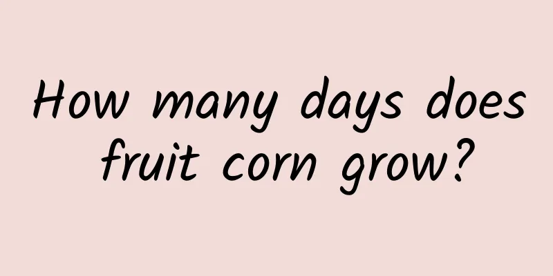 How many days does fruit corn grow?