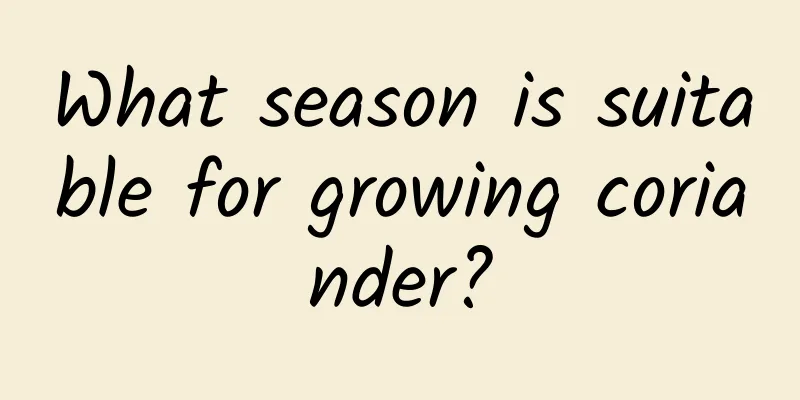 What season is suitable for growing coriander?