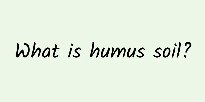 What is humus soil?