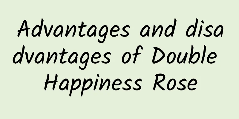Advantages and disadvantages of Double Happiness Rose