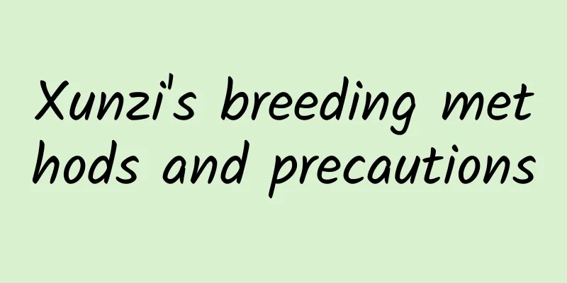 Xunzi's breeding methods and precautions