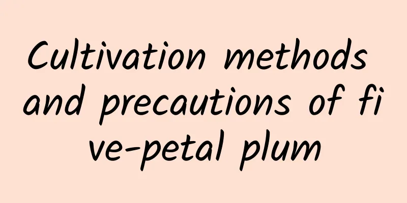 Cultivation methods and precautions of five-petal plum