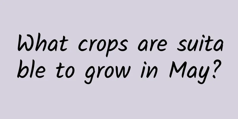 What crops are suitable to grow in May?