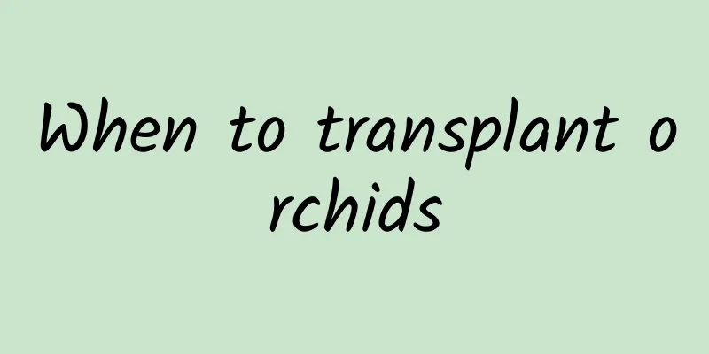 When to transplant orchids