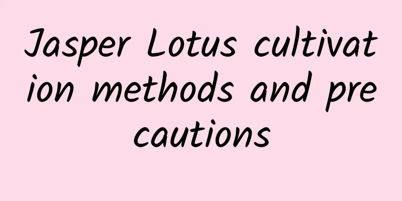 Jasper Lotus cultivation methods and precautions