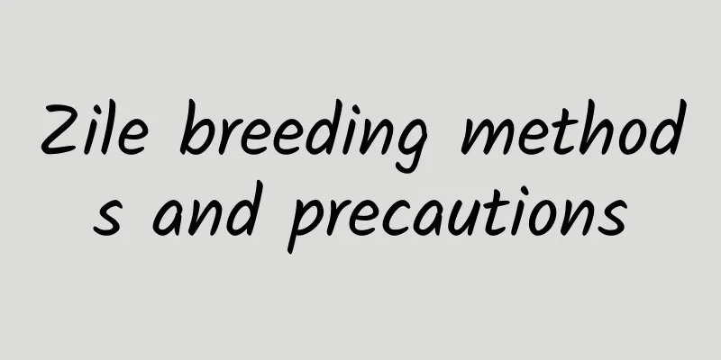 Zile breeding methods and precautions