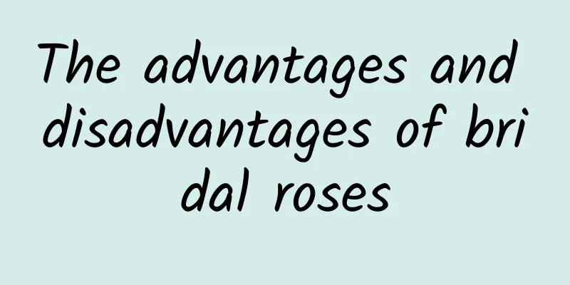 The advantages and disadvantages of bridal roses