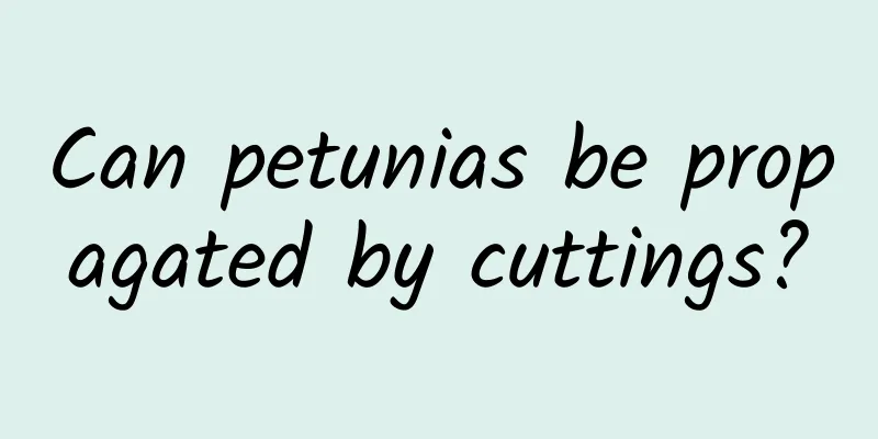 Can petunias be propagated by cuttings?