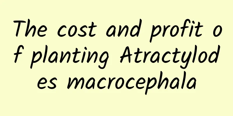The cost and profit of planting Atractylodes macrocephala