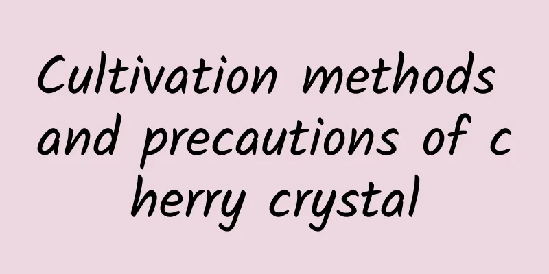 Cultivation methods and precautions of cherry crystal