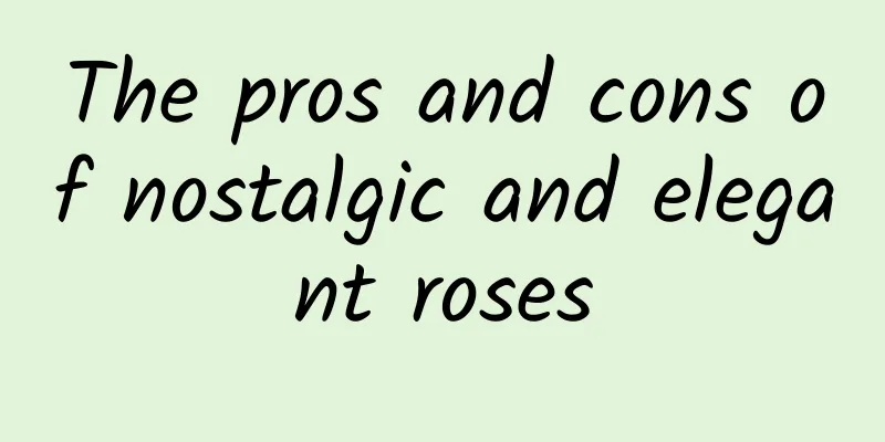 The pros and cons of nostalgic and elegant roses