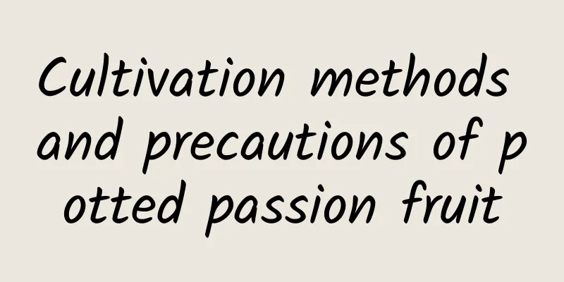 Cultivation methods and precautions of potted passion fruit
