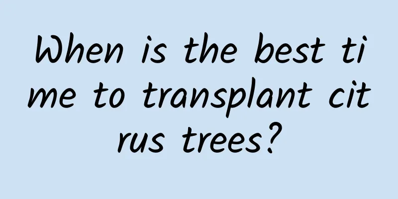 When is the best time to transplant citrus trees?