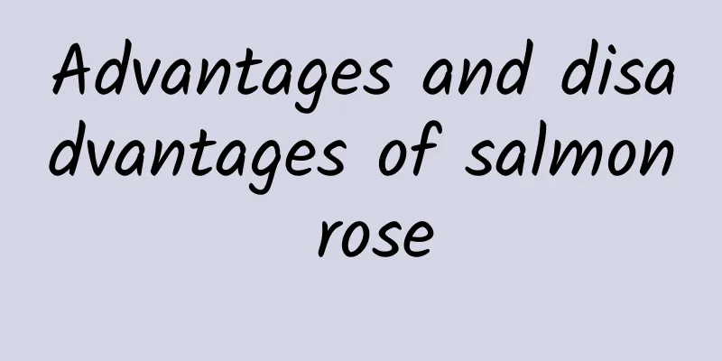 Advantages and disadvantages of salmon rose
