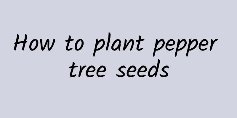 How to plant pepper tree seeds