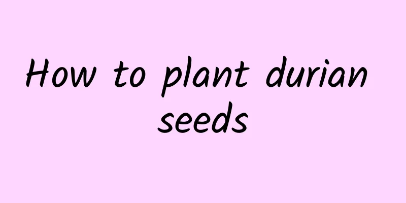 How to plant durian seeds
