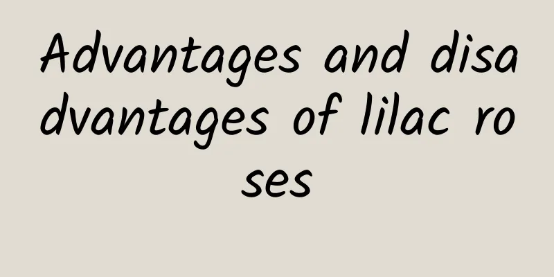 Advantages and disadvantages of lilac roses