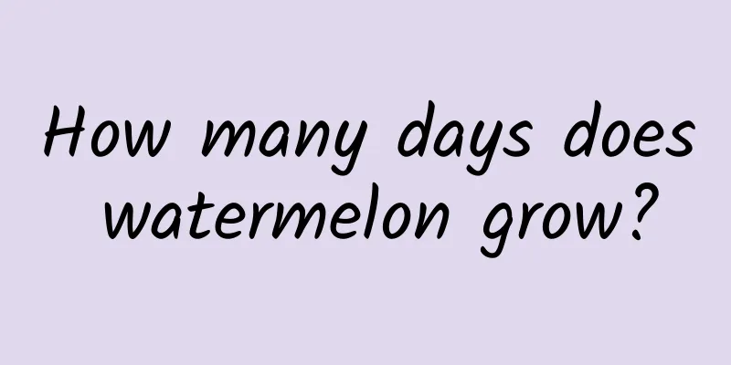 How many days does watermelon grow?