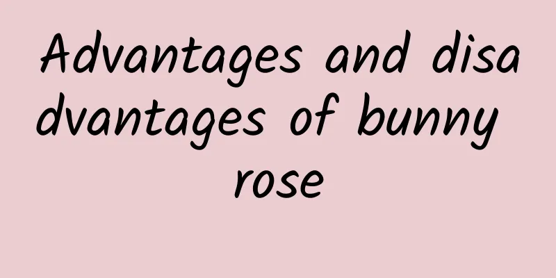Advantages and disadvantages of bunny rose