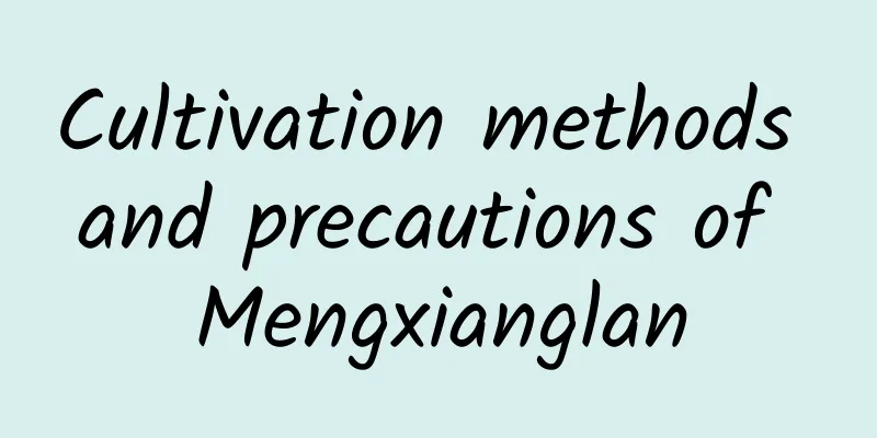 Cultivation methods and precautions of Mengxianglan