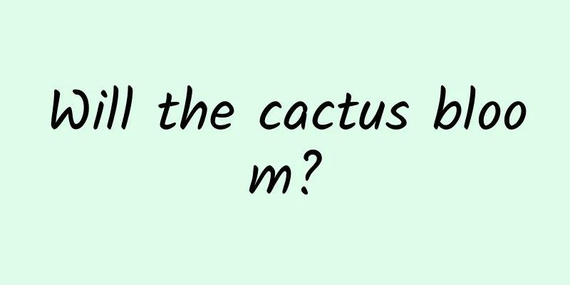 Will the cactus bloom?