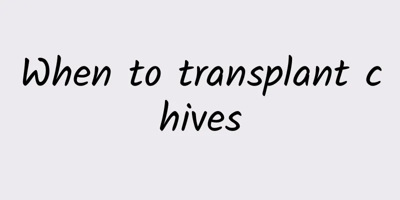 When to transplant chives