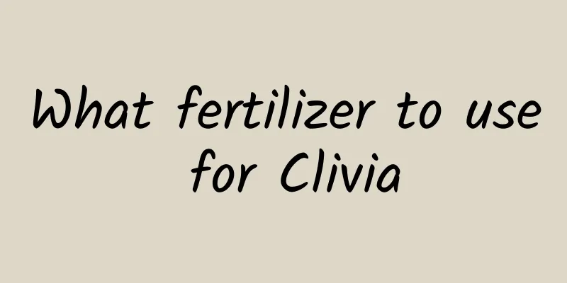 What fertilizer to use for Clivia