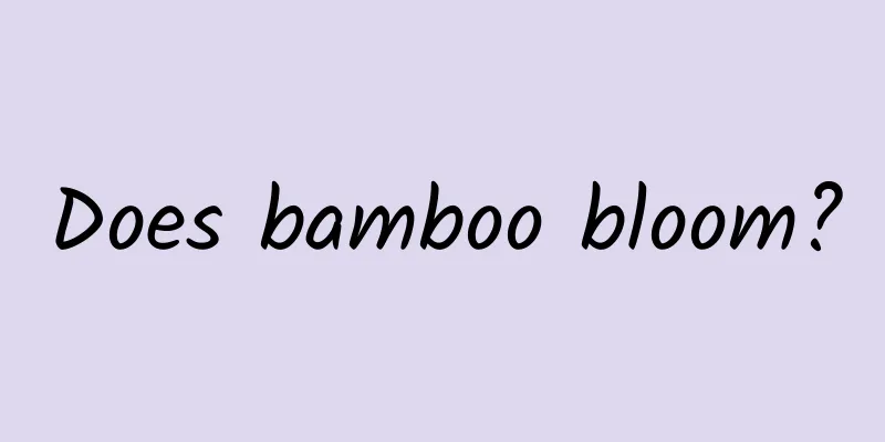 Does bamboo bloom?