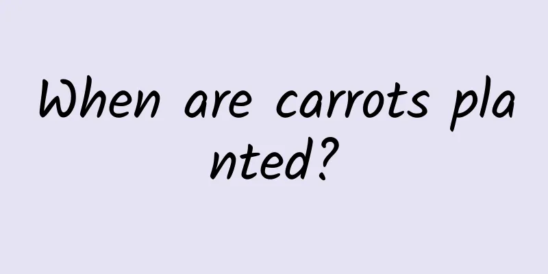 When are carrots planted?