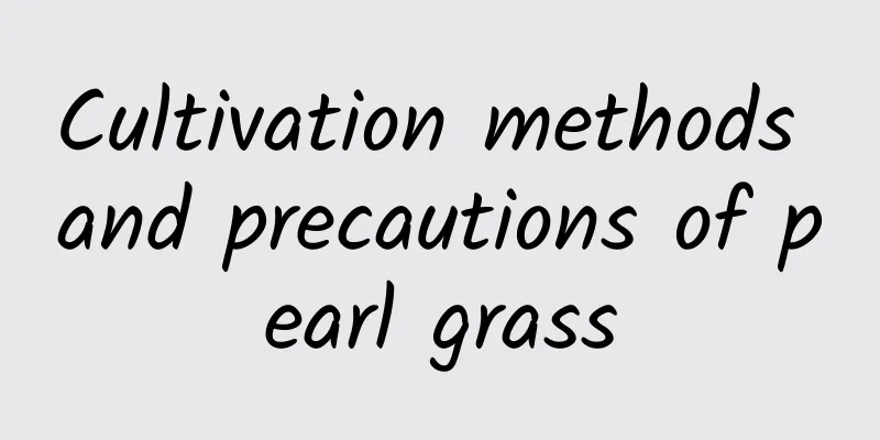 Cultivation methods and precautions of pearl grass