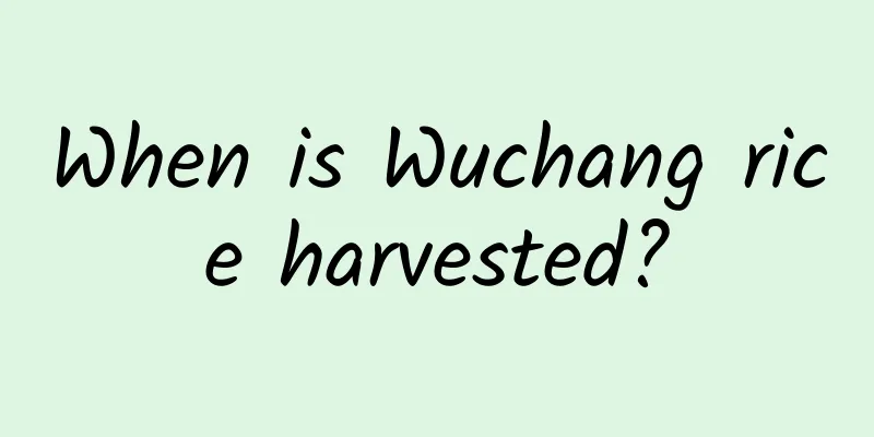 When is Wuchang rice harvested?