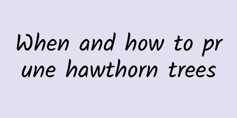 When and how to prune hawthorn trees