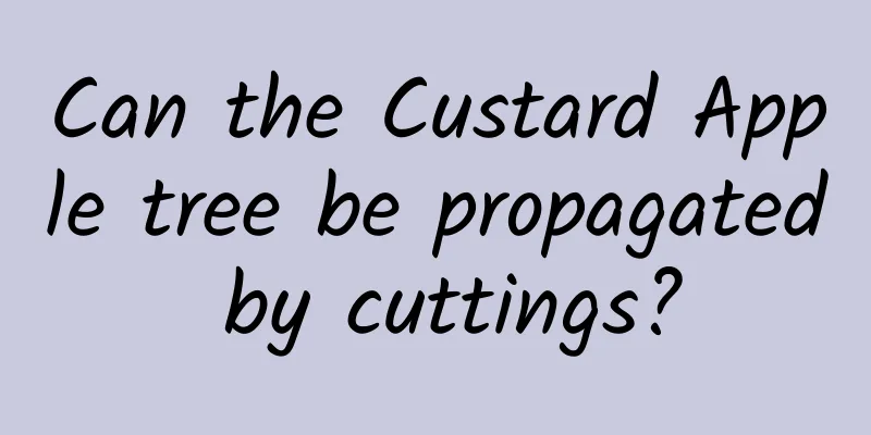 Can the Custard Apple tree be propagated by cuttings?