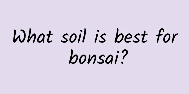 What soil is best for bonsai?