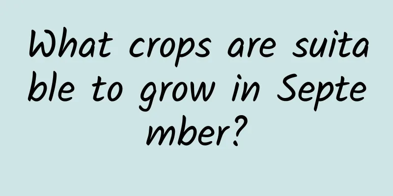 What crops are suitable to grow in September?