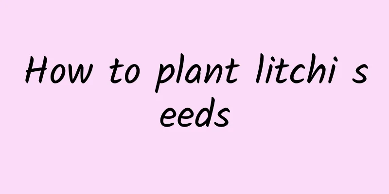 How to plant litchi seeds