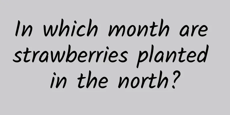 In which month are strawberries planted in the north?