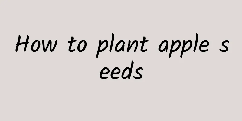 How to plant apple seeds