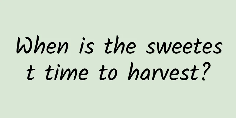 When is the sweetest time to harvest?