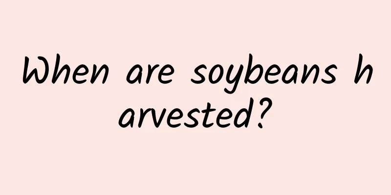 When are soybeans harvested?