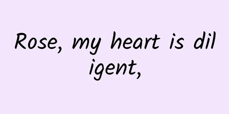 Rose, my heart is diligent,