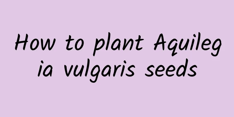 How to plant Aquilegia vulgaris seeds