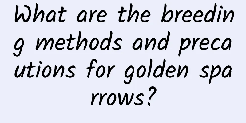 What are the breeding methods and precautions for golden sparrows?