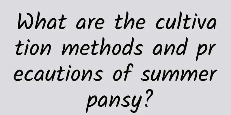 What are the cultivation methods and precautions of summer pansy?